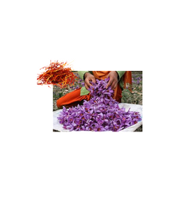 Kumkumadi OIl- Saffron Sandalwood Skin Beauty Oil-30ml luxury dropper bottle